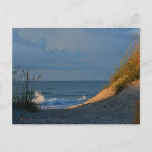 Postal "Sunlit"