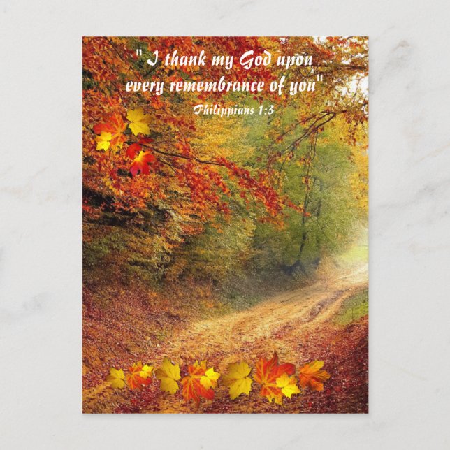 Postal Sunlit Fall Pathway Christian Gracias (Anverso)