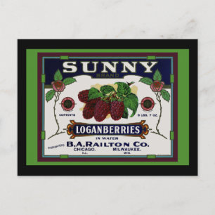 Postal Sunny Loganberry Fruit