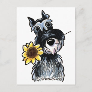 Postal Sunny Schnauzer Classic