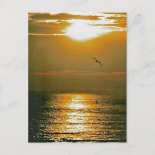 Postal Sunrise