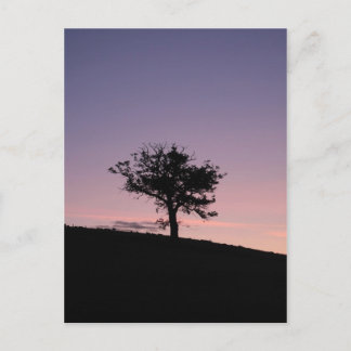 Postal Sunrise