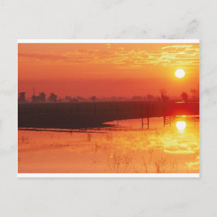 Postal Sunrise