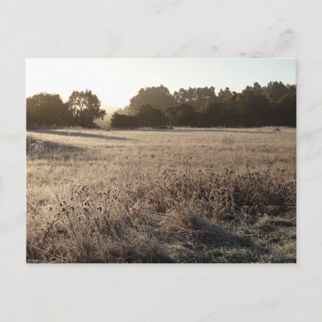 Postal Sunrise at Bear Valley Trailhead Landscape (Anverso)