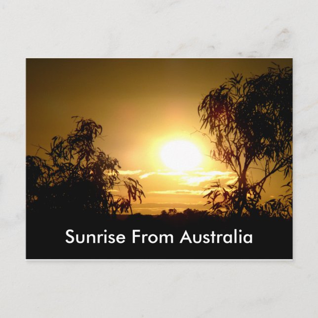 Postal Sunrise Desde Australia Postcard (Anverso)