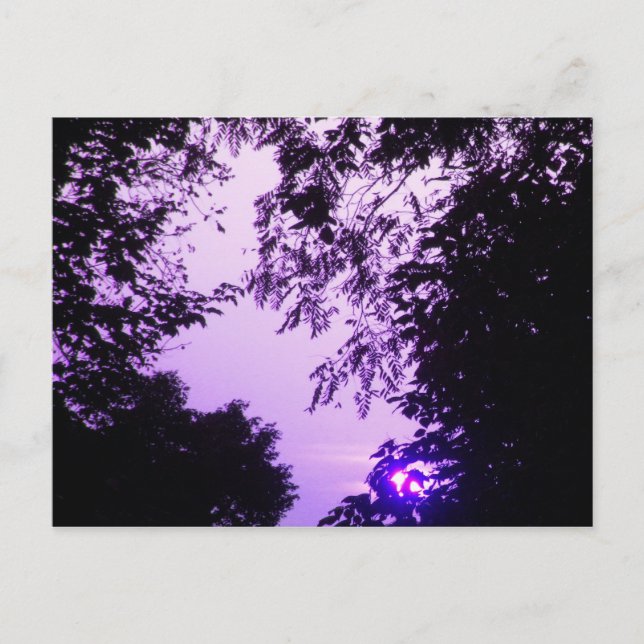 Postal Sunrise in Purple postcard (Anverso)