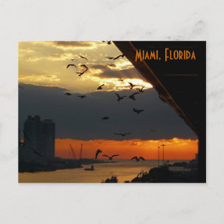 Postal SUNRISE... Miami, Florida
