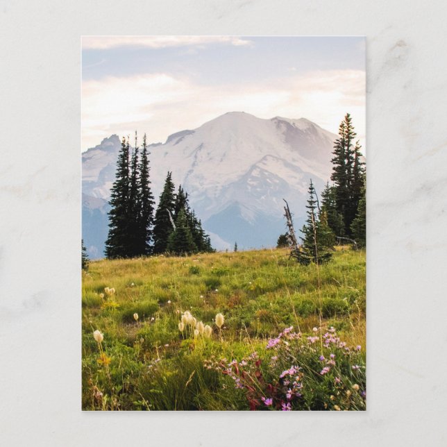 Postal Sunrise Mt. Rainier Gifts (Anverso)