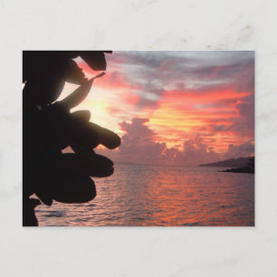 Postal Sunrise on South Pacific Island >Postcard