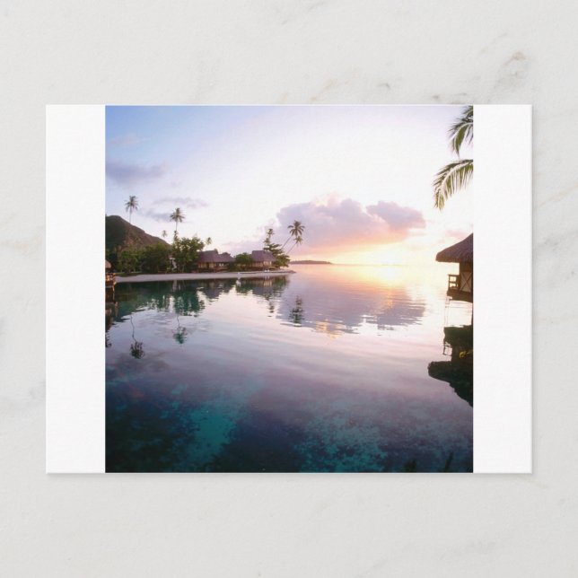 Postal Sunrise Palmilla Coast Cabo San Lucas México (Anverso)