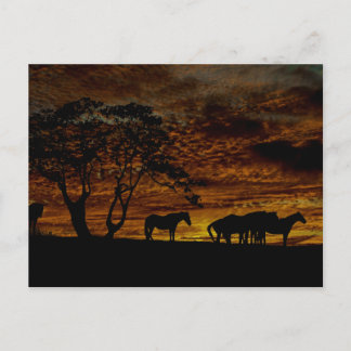 Postal Sunrise Silhouette