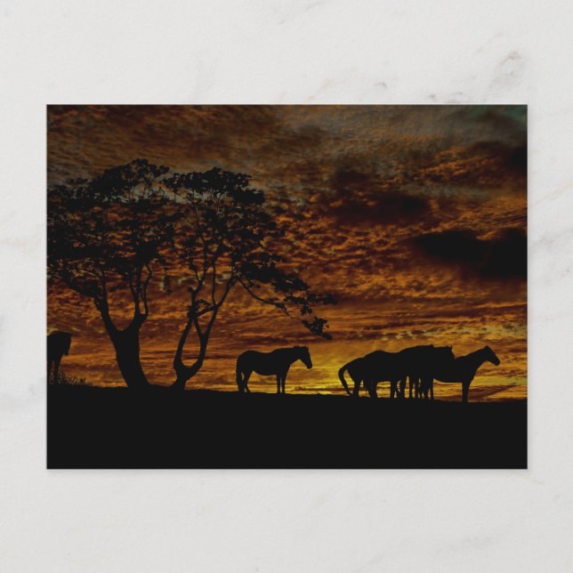 Postal Sunrise Silhouette (Anverso)