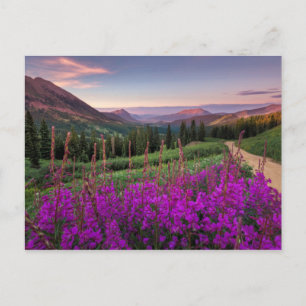 Postal Sunrise silvestre   Crested Butte, Colorado