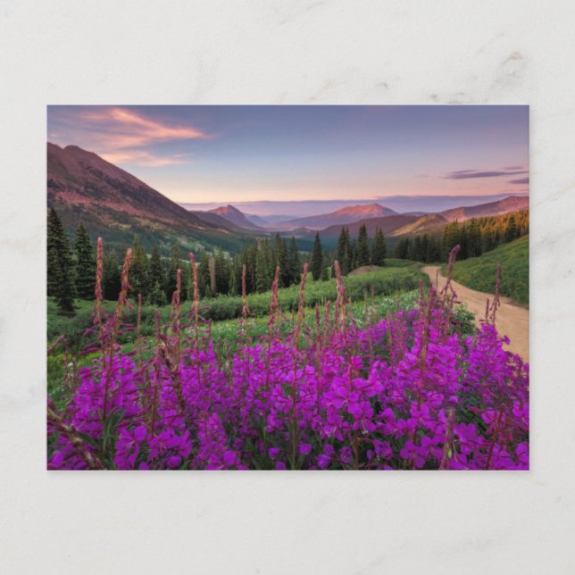 Postal Sunrise silvestre | Crested Butte, Colorado (Anverso)