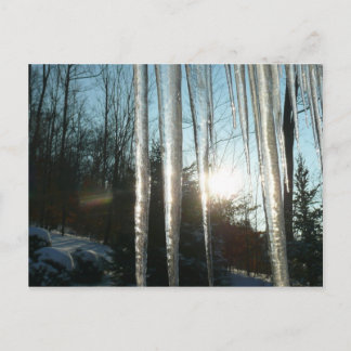 Postal Sunrise Through Icicles Winter Nature Photography