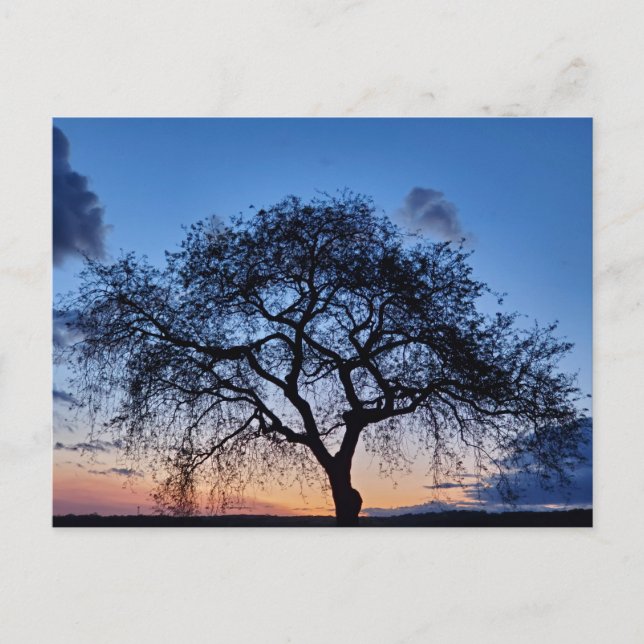 Postal Sunset (Anverso)