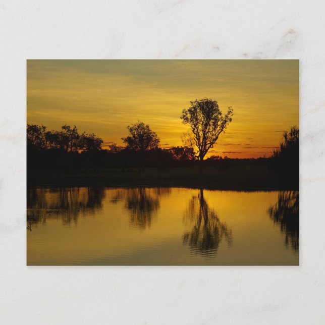 Postal Sunset, agua amarilla Billabong (Anverso)