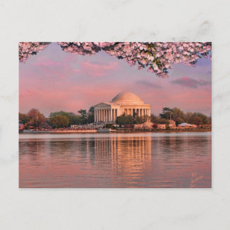 Postal Sunset at Jeferson Memorial with Cherry Blossoms
