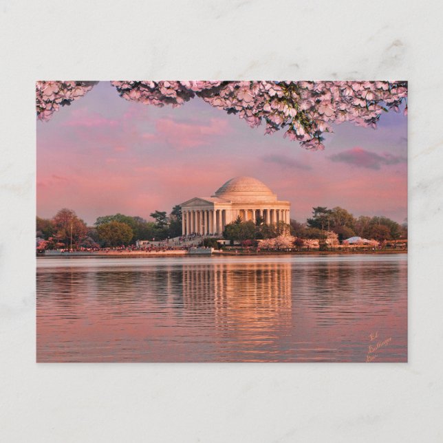 Postal Sunset at Jeferson Memorial with Cherry Blossoms (Anverso)