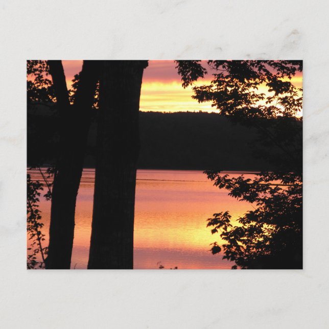 Postal Sunset Bridgewater Nova Scotia POst Card (Anverso)