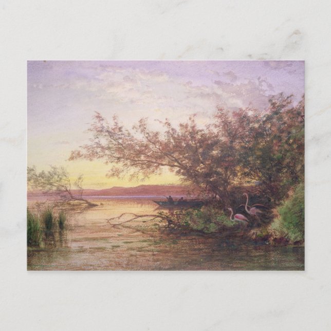 Postal Sunset, Camarga (Anverso)