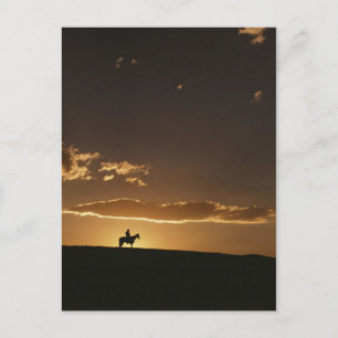 Postal Sunset Cowboy