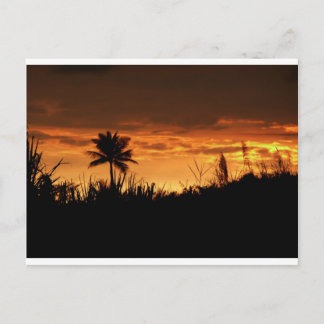 Postal Sunset de Costa Rica