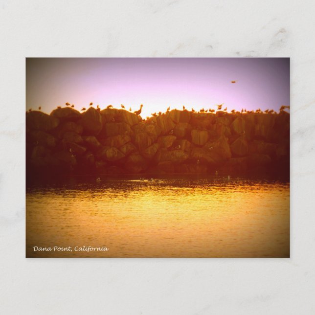 Postal Sunset de Dana Point (Anverso)
