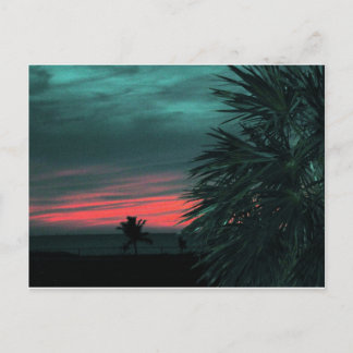 Postal Sunset de Florida