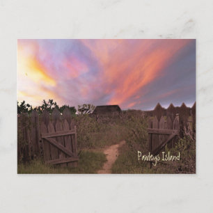Postal Sunset de Pawleys Island