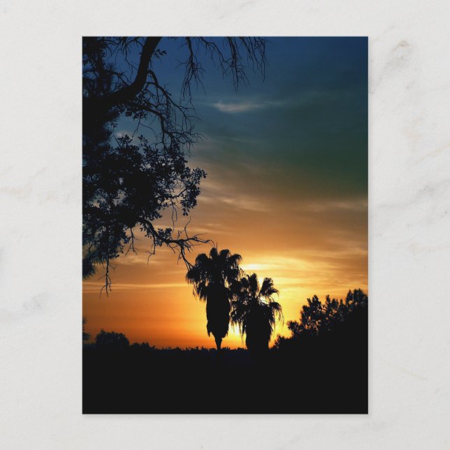 Postal Sunset de San Diego (Anverso)