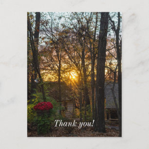 Postal Sunset de Sdc Woods