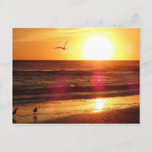 Postal Sunset de Siesta Key Beach