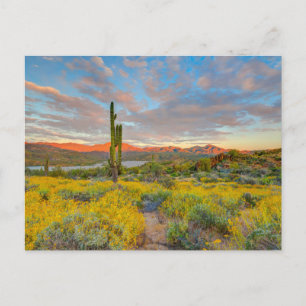 Postal Sunset en el paisaje del desierto