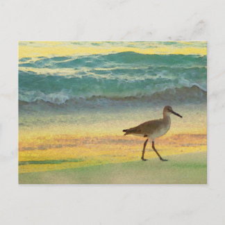 Postal Sunset en la playa acuarela con Sandpiper