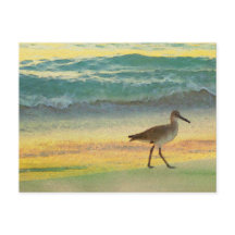 Sunset en la playa acuarela con Sandpiper