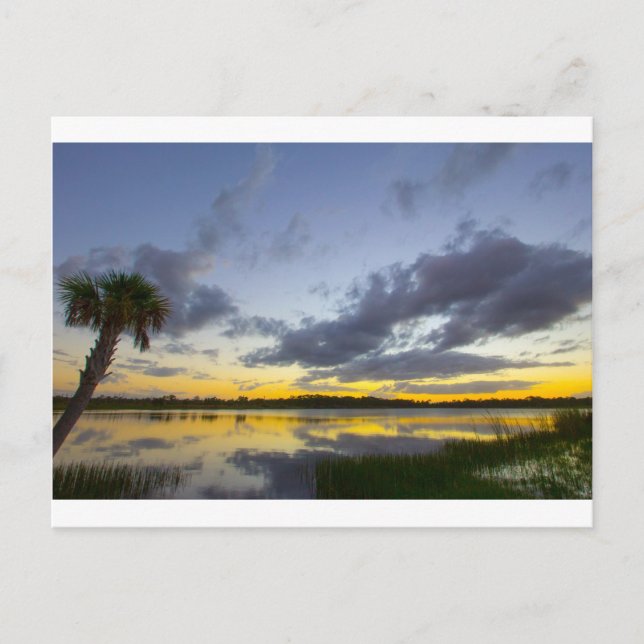Postal Sunset, George LeStrange Preserve, Fort Pierce, FL (Anverso)
