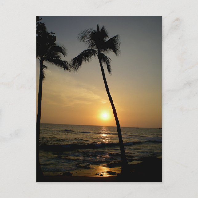 Postal Sunset Gold Hawaii (Anverso)