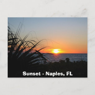 Postal Sunset - Nápoles, FL