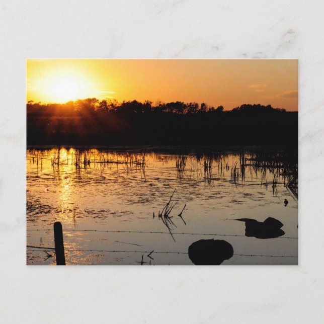 Postal Sunset On Pond (Anverso)