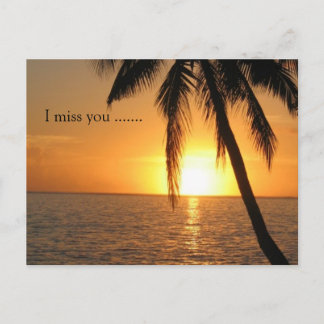 Postal Sunset Palm Beach Peace Destino de Amor
