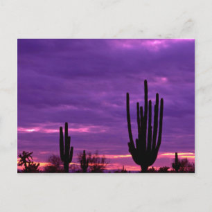 Postal Sunset, Scottsdale, Arizona