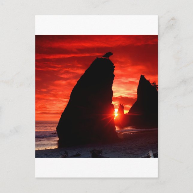 Postal Sunset Sea Stacks Blood Red (Anverso)