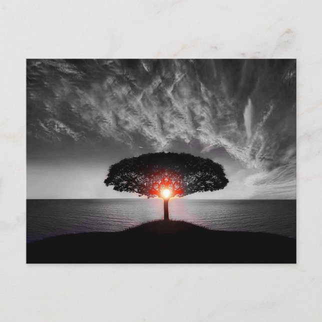 Postal Sunset Sunrise (Anverso)