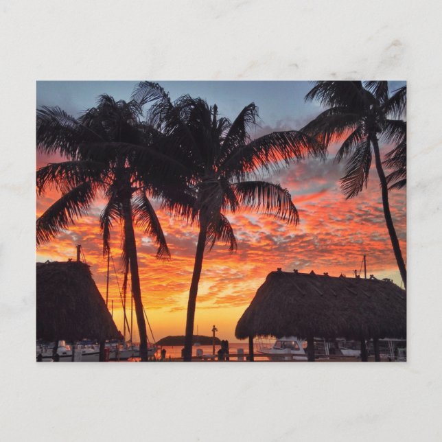 Postal Sunset tropical de Florida Keys (Anverso)