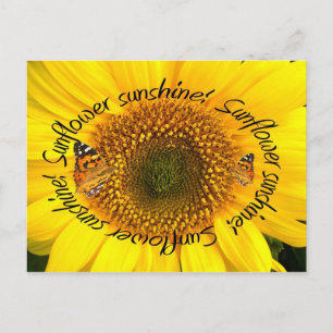 Postal SUNSHINE DE SUNFLOWER ~ POstcard