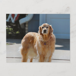 Postal Sunshine dorado