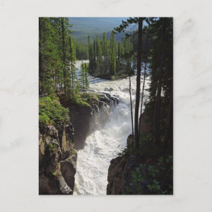 Postal Sunwapta Falls Jasper Canada Landscape Postcard