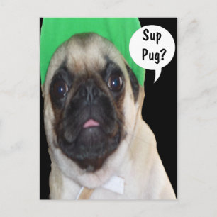 Postal ¿Sup Pug?