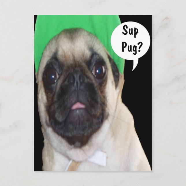 Postal ¿Sup Pug? (Anverso)